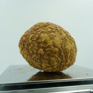 CC 03411