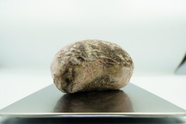 CC 03526